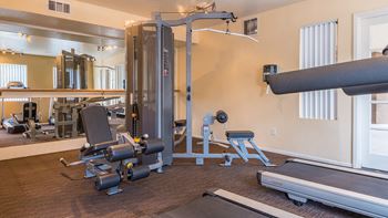 Cantera fitness center with weight stations, and fitness equipment